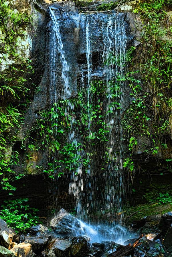 Camelot cabañas Mount Tamborine Exterior foto