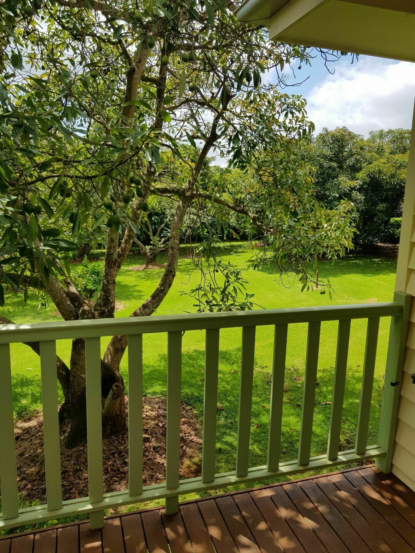 Camelot cabañas Mount Tamborine Exterior foto