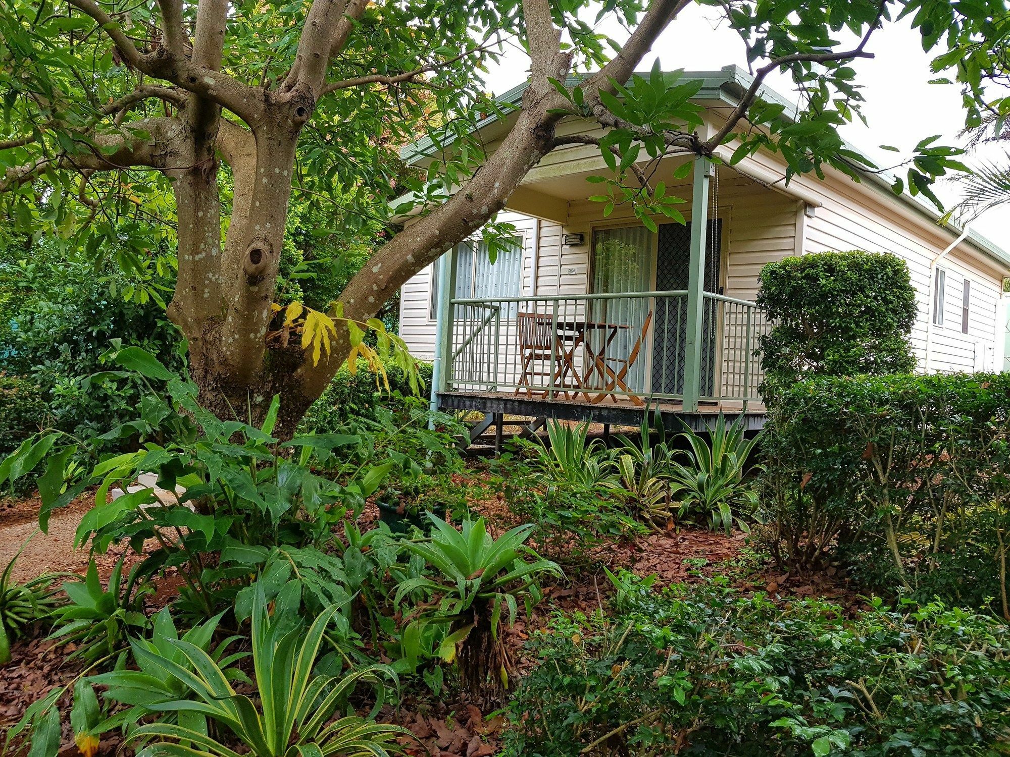 Camelot cabañas Mount Tamborine Exterior foto