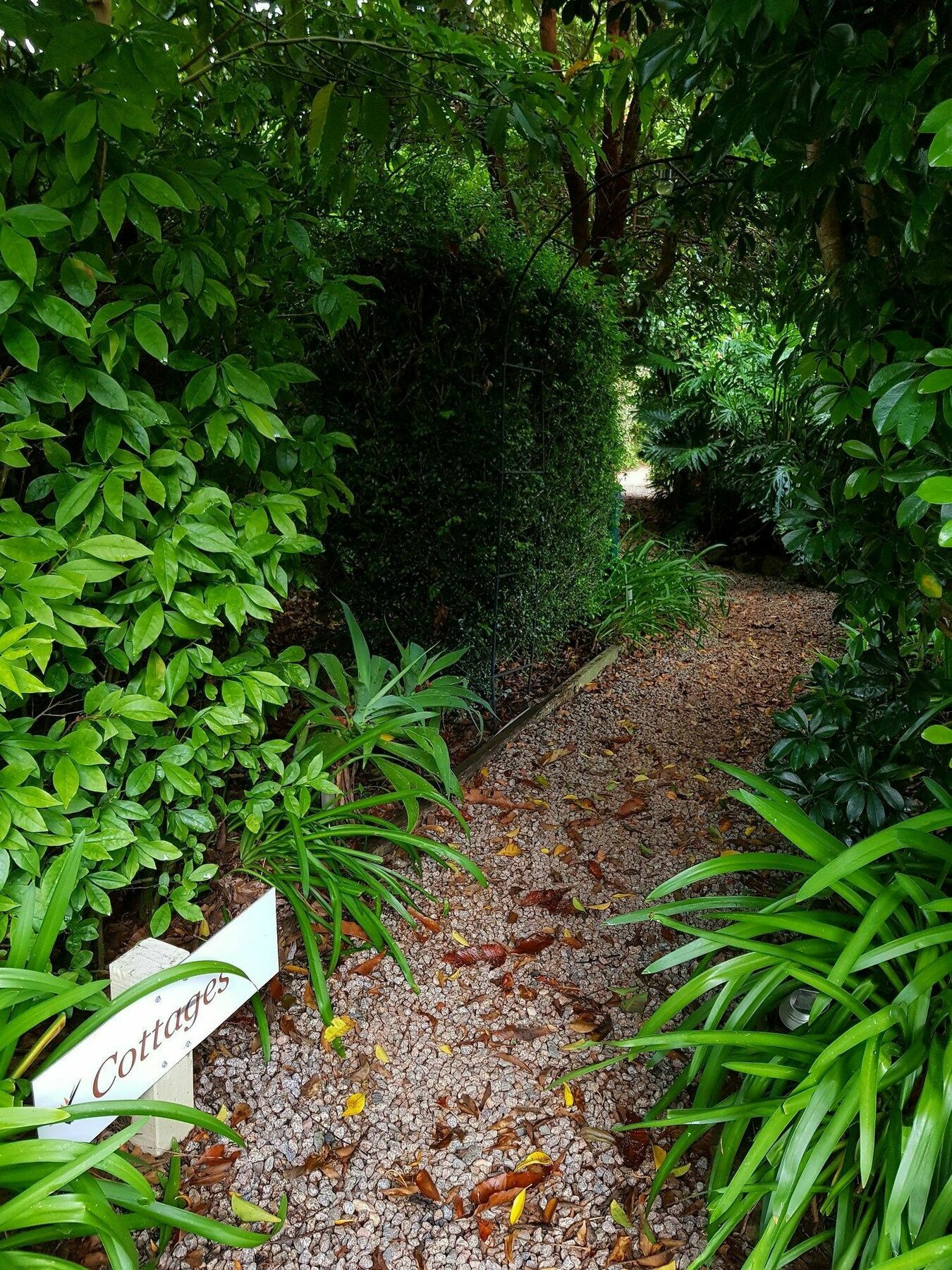 Camelot cabañas Mount Tamborine Exterior foto